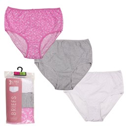 BR132 Ladies 3 Pack (Printed) Classic Briefs in PVC Hanger Bag