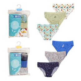 BR274 Boys 3 Pack Briefs In Polybag