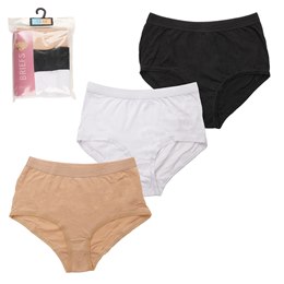 BR789 Ladies 3 Pack Classic Briefs In Polybag